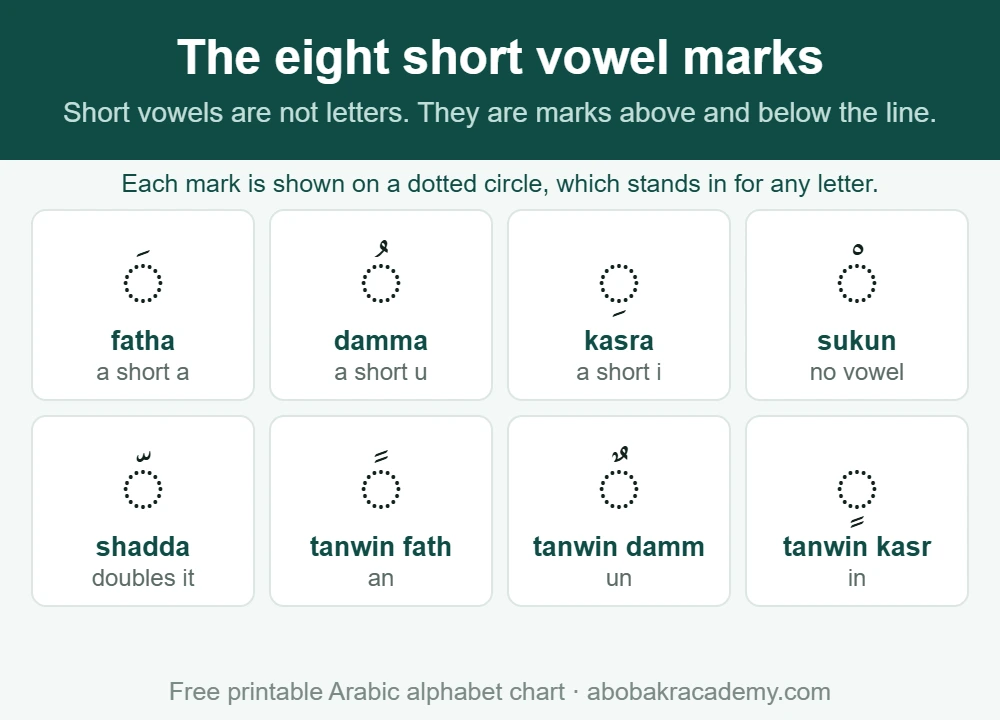 The eight Arabic short vowel and doubling marks, each drawn on a dotted circle that stands in for any letter: fatha, damma, kasra, sukun, shadda and the three tanwin endings, with what each one sounds like.