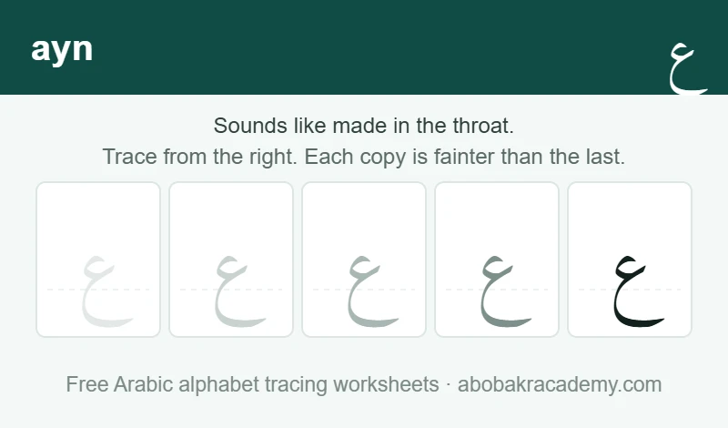 Tracing block for the Arabic letter ayn: the letter printed five times in a row, solid on the right where the child starts and fading to a faint outline on the left, with a dashed guide line through each copy.