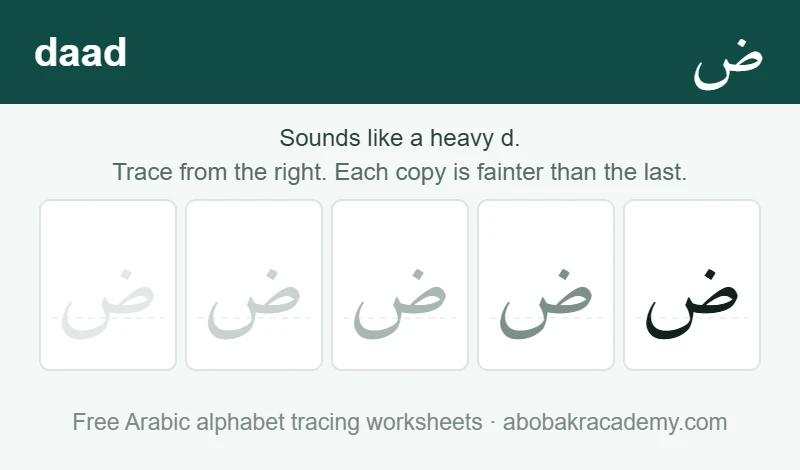 Tracing block for the Arabic letter daad: the letter printed five times in a row, solid on the right where the child starts and fading to a faint outline on the left, with a dashed guide line through each copy.