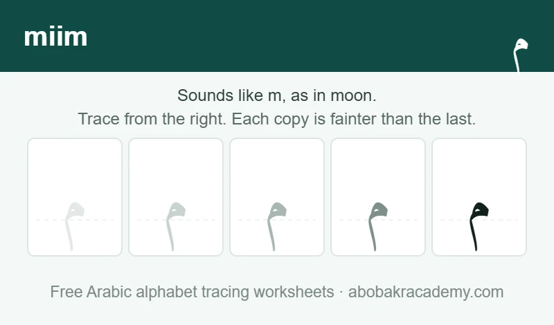 Tracing block for the Arabic letter miim: the letter printed five times in a row, solid on the right where the child starts and fading to a faint outline on the left, with a dashed guide line through each copy.