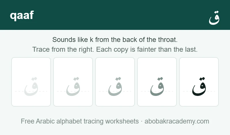 Tracing block for the Arabic letter qaaf: the letter printed five times in a row, solid on the right where the child starts and fading to a faint outline on the left, with a dashed guide line through each copy.