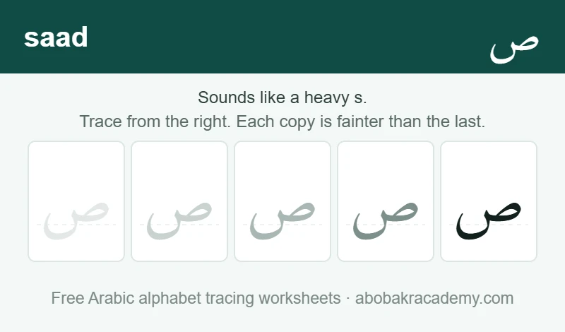 Tracing block for the Arabic letter saad: the letter printed five times in a row, solid on the right where the child starts and fading to a faint outline on the left, with a dashed guide line through each copy.