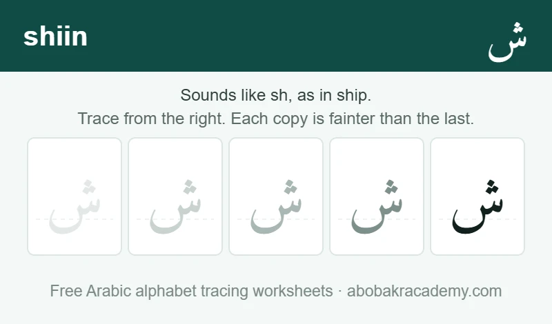Tracing block for the Arabic letter shiin: the letter printed five times in a row, solid on the right where the child starts and fading to a faint outline on the left, with a dashed guide line through each copy.