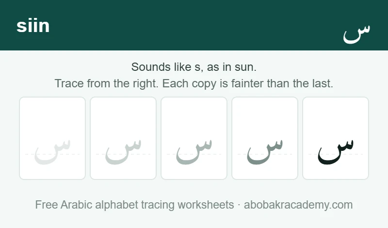 Tracing block for the Arabic letter siin: the letter printed five times in a row, solid on the right where the child starts and fading to a faint outline on the left, with a dashed guide line through each copy.