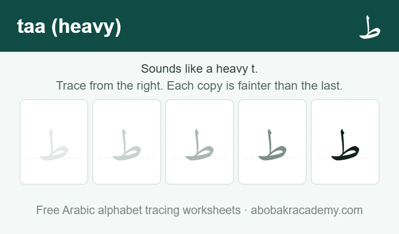Tracing block for the Arabic letter taa (heavy): the letter printed five times in a row, solid on the right where the child starts and fading to a faint outline on the left, with a dashed guide line through each copy.