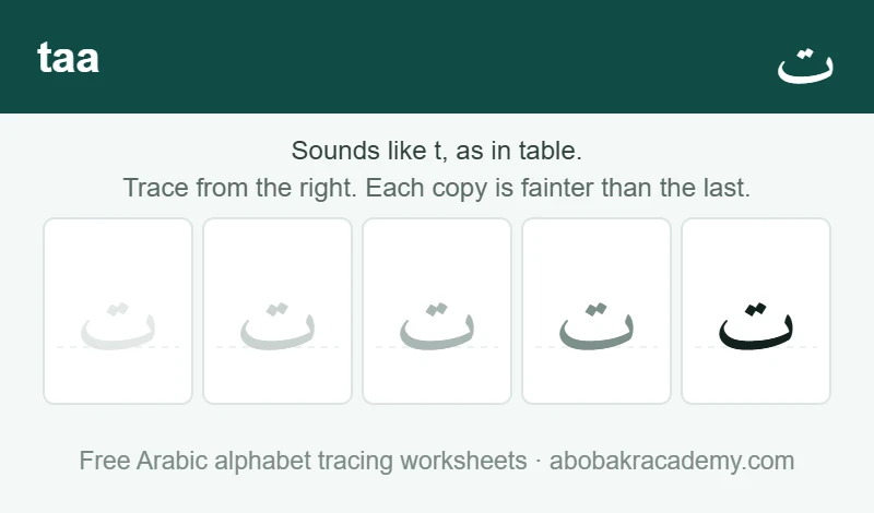Tracing block for the Arabic letter taa: the letter printed five times in a row, solid on the right where the child starts and fading to a faint outline on the left, with a dashed guide line through each copy.