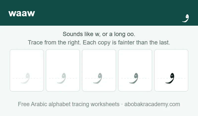 Tracing block for the Arabic letter waaw: the letter printed five times in a row, solid on the right where the child starts and fading to a faint outline on the left, with a dashed guide line through each copy.