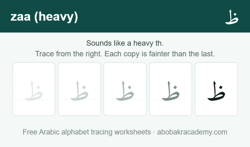 Tracing block for the Arabic letter zaa (heavy): the letter printed five times in a row, solid on the right where the child starts and fading to a faint outline on the left, with a dashed guide line through each copy.