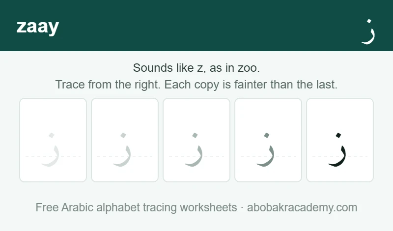 Tracing block for the Arabic letter zaay: the letter printed five times in a row, solid on the right where the child starts and fading to a faint outline on the left, with a dashed guide line through each copy.
