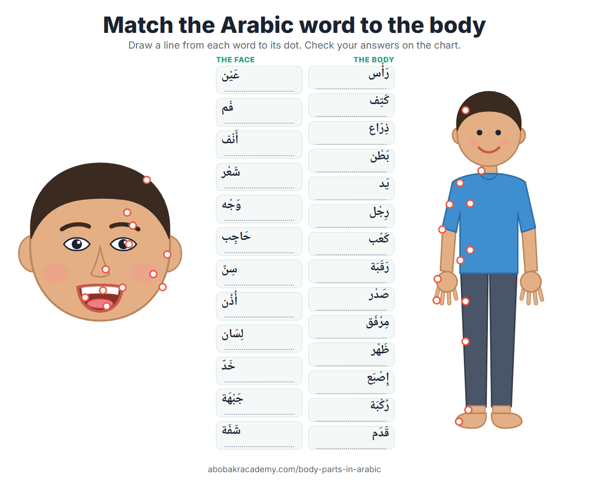 Matching worksheet for children: 26 Arabic body part words in two columns between a drawing of a face and a drawing of a whole child, with a dot on each part to draw a line to.