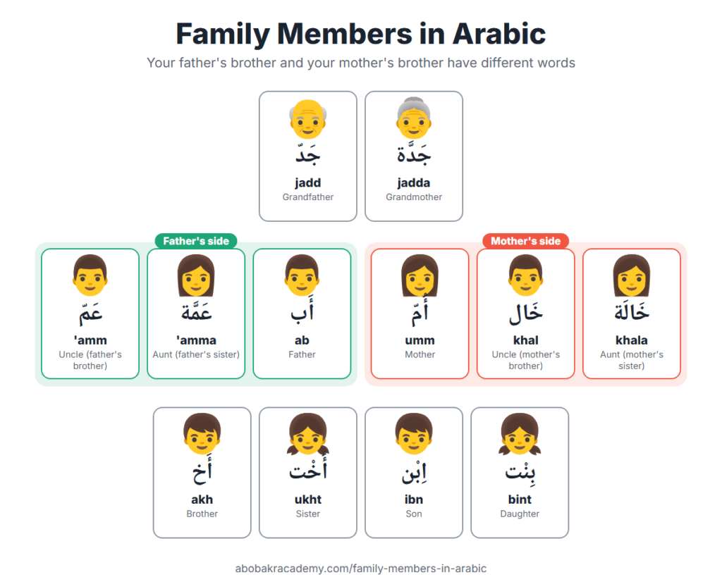 Family tree chart in Arabic. Grandfather جَدّ (jadd) and grandmother جَدَّة (jadda) at the top. Father's side: uncle عَمّ ('amm), aunt عَمَّة ('amma) and father أَب (ab). Mother's side: mother أُمّ (umm), uncle خَال (khal) and aunt خَالَة (khala). Below: brother, sister, son and daughter.