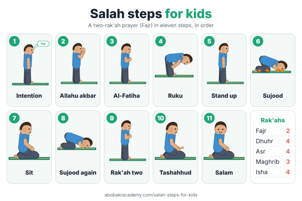 Salah steps for kids chart, a two-rak'ah prayer drawn in eleven pictures: 1 intention facing the qibla, 2 Allahu akbar with hands raised, 3 al-Fatiha with the right hand over the left, 4 ruku, 5 standing up, 6 sujood, 7 sitting, 8 the second sujood, 9 standing for the second rak'ah, 10 the tashahhud, 11 the salam. A box lists the rak'ahs: Fajr 2, Dhuhr 4, Asr 4, Maghrib 3, Isha 4.