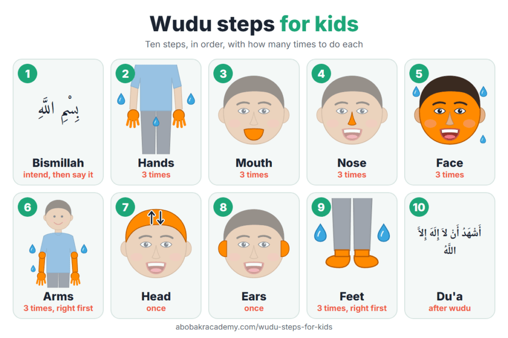 Wudu steps for kids chart: 1 intention and Bismillah, 2 hands three times, 3 mouth three times, 4 nose three times, 5 face three times, 6 arms to the elbows three times, right first, 7 wipe the head once, 8 wipe the ears once, 9 feet to the ankles three times, right first, 10 the du'a.