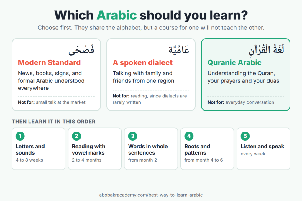 Chart: which Arabic to learn (Modern Standard, a spoken dialect or Quranic Arabic), what each is for and not for, then five steps in order with typical times
